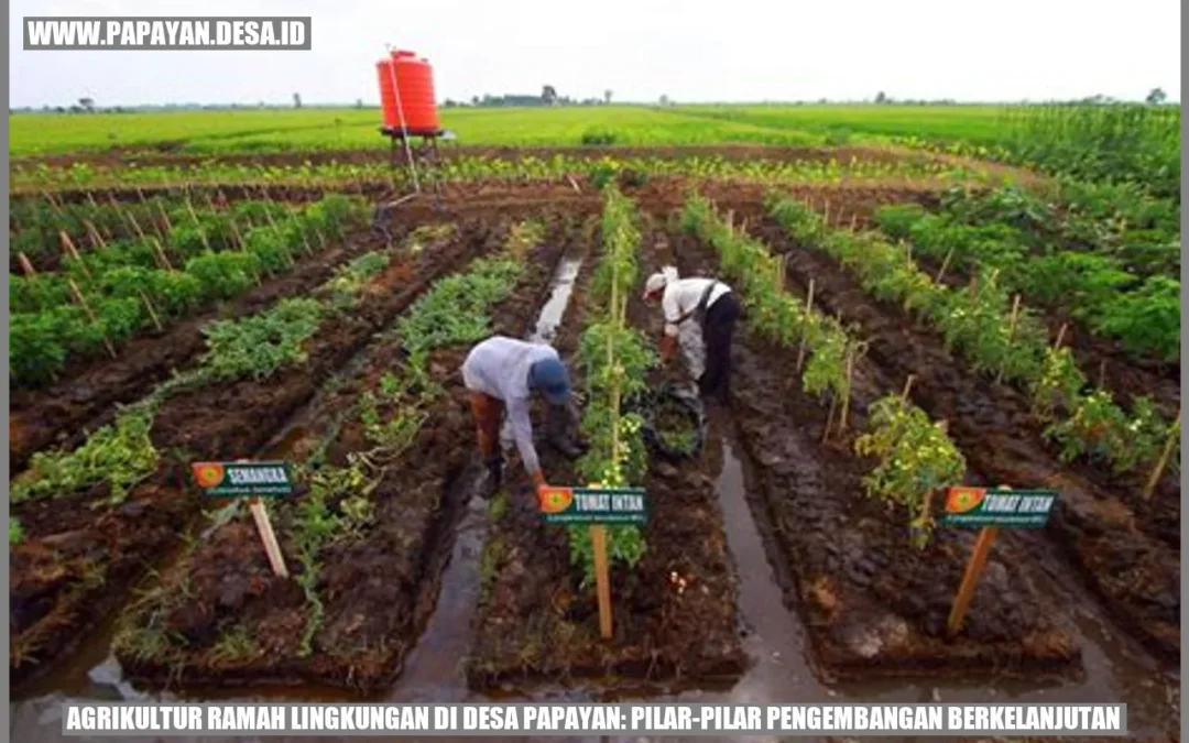 Agrikultur Ramah Lingkungan di Desa Papayan: Pilar-Pilar Pengembangan Berkelanjutan