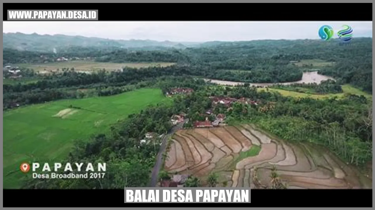 Balai Desa Papayan