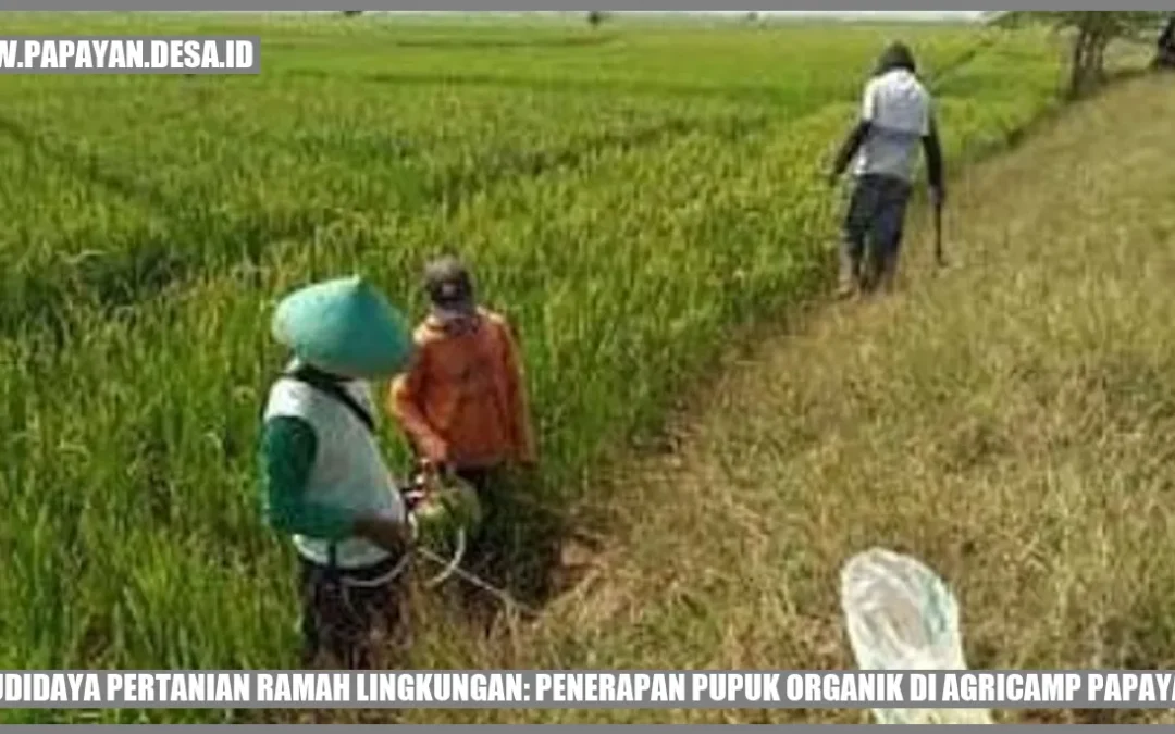 Budidaya Pertanian Ramah Lingkungan: Penerapan Pupuk Organik di Agricamp Papayan