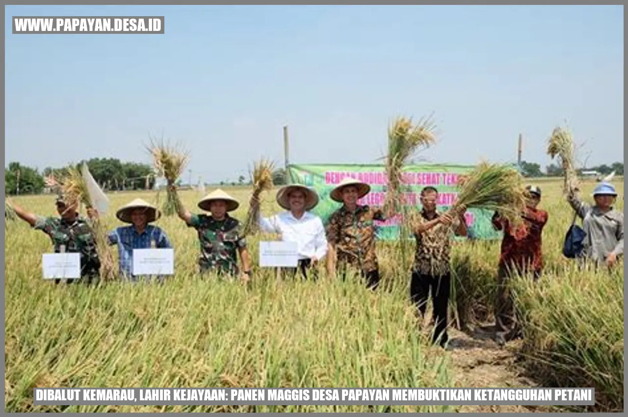 Petani Desa Papayan