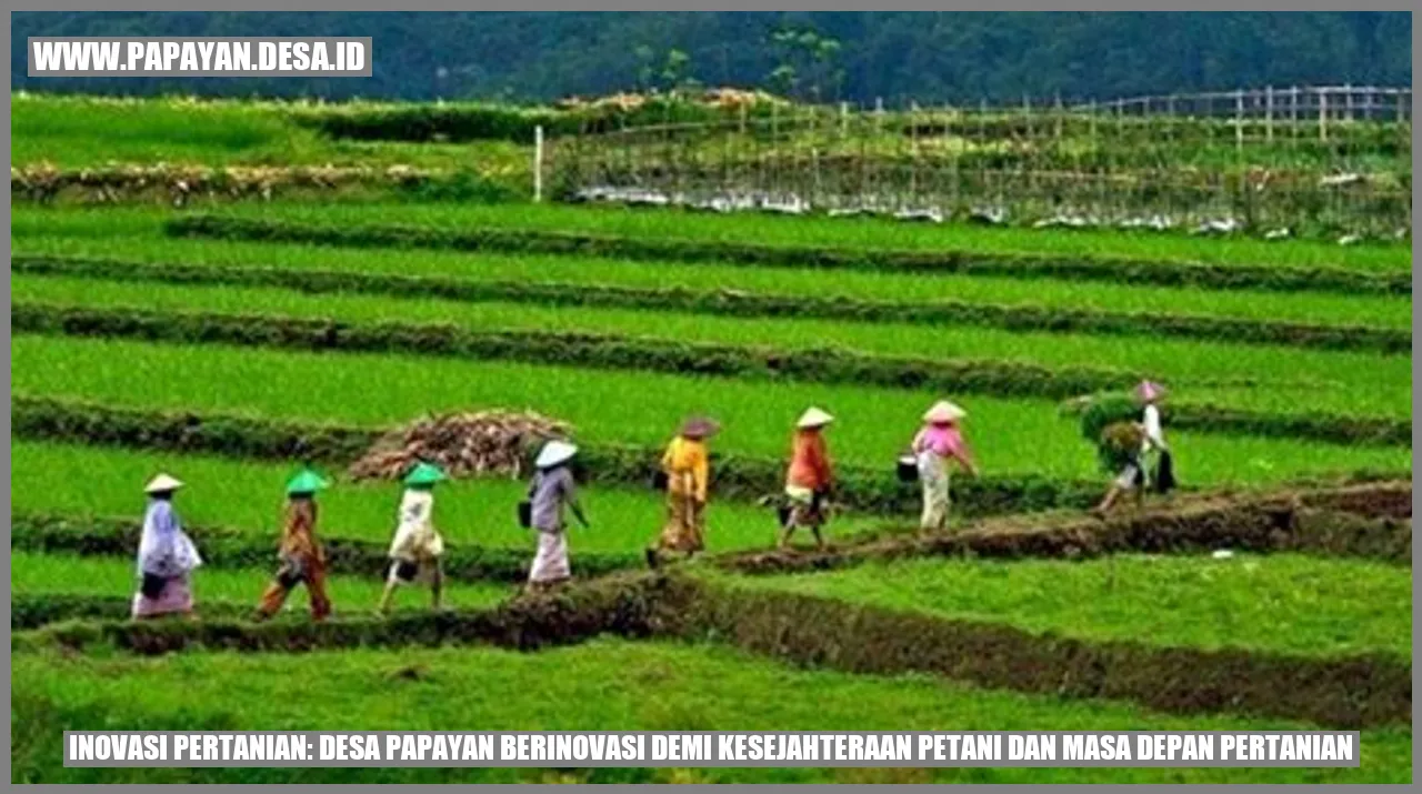 Inovasi Pertanian: Desa Papayan Berinovasi Demi Kesejahteraan Petani dan Masa Depan Pertanian