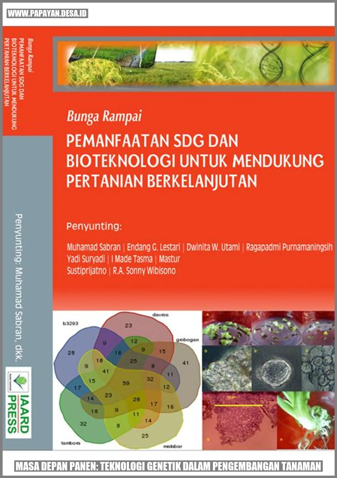 Masa Depan Panen: Teknologi Genetik dalam Pengembangan Tanaman