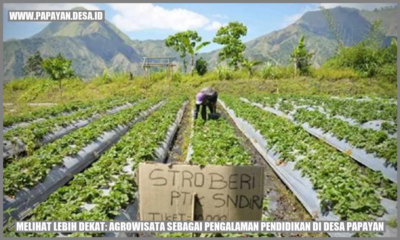 Agrowisata