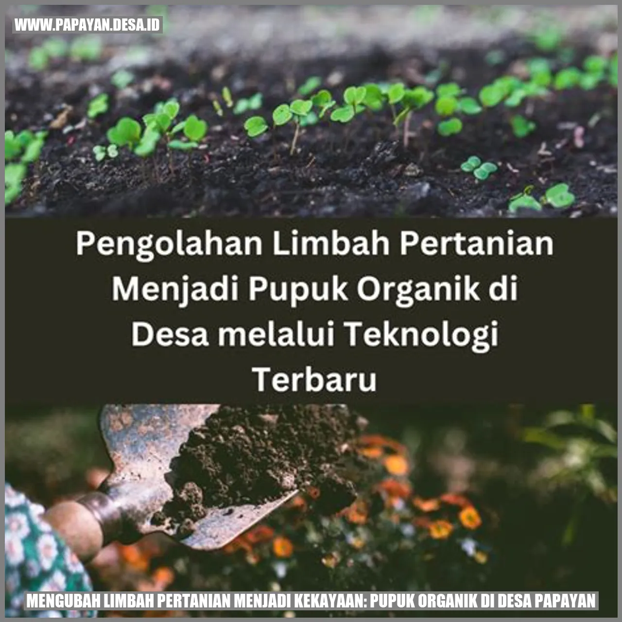 Pupuk Organik