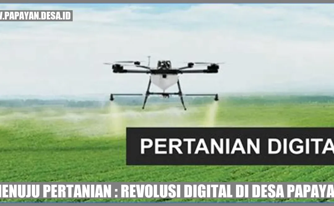 Menuju Pertanian : Revolusi Digital di Desa Papayan
