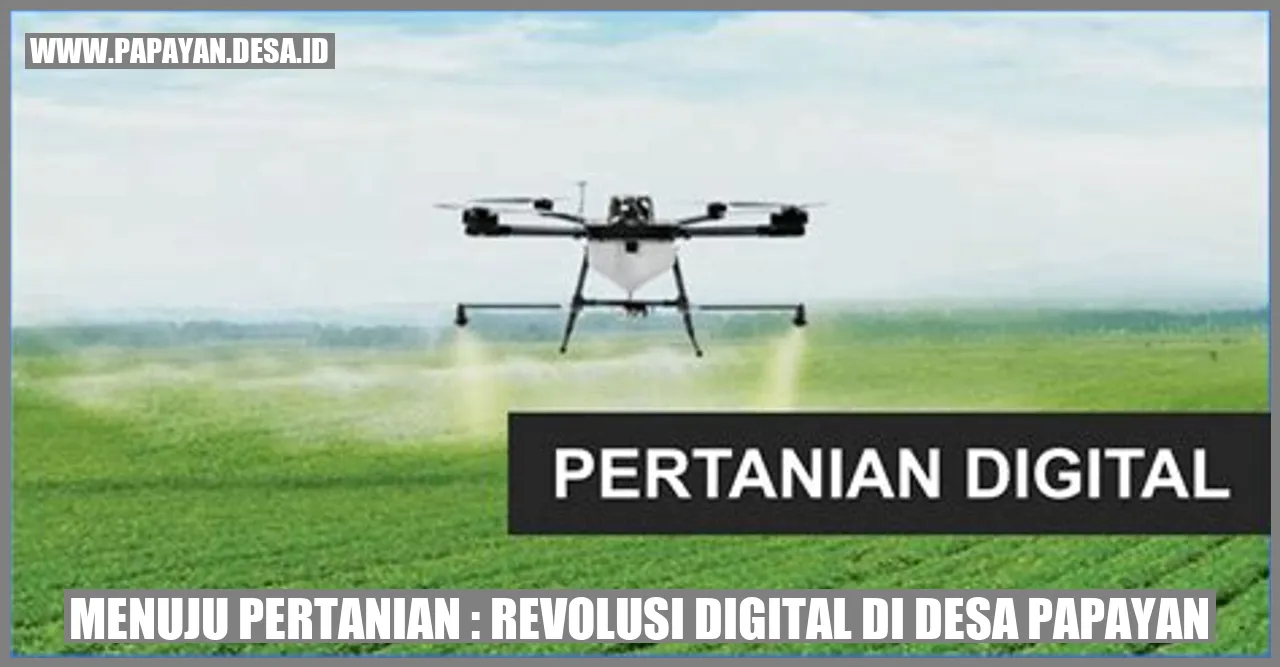 Pemantauan Tanaman menggunakan Drone di Desa Papayan