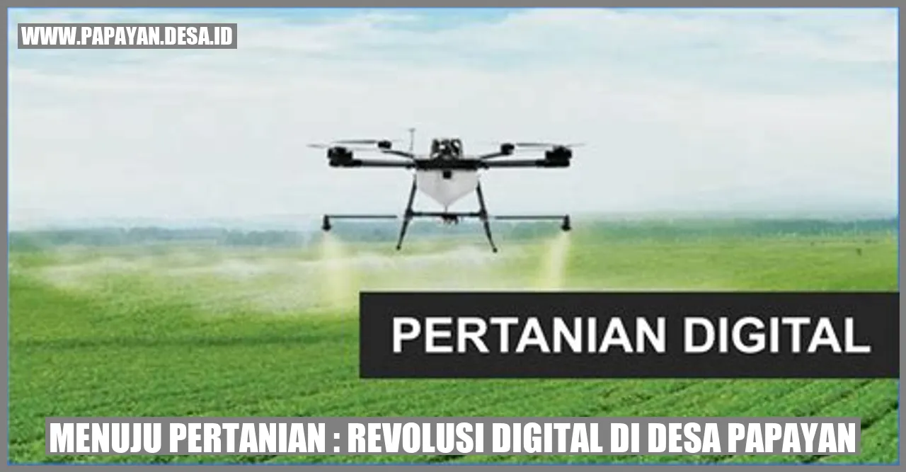 Sistem Irigasi Otomatis di Desa Papayan