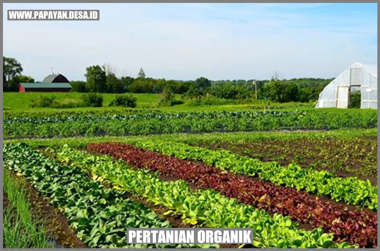 Pertanian Organik