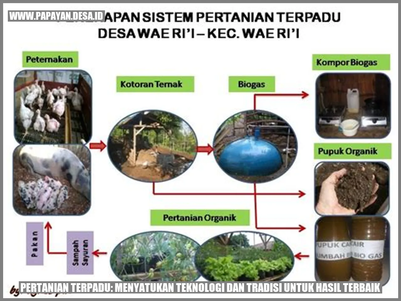 Pertanian Terpadu