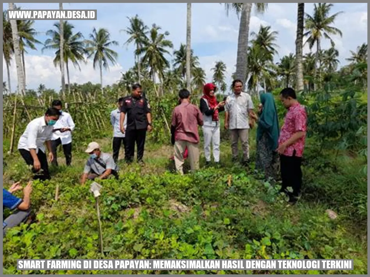 Smart Farming di Desa Papayan: Memaksimalkan Hasil dengan Teknologi Terkini