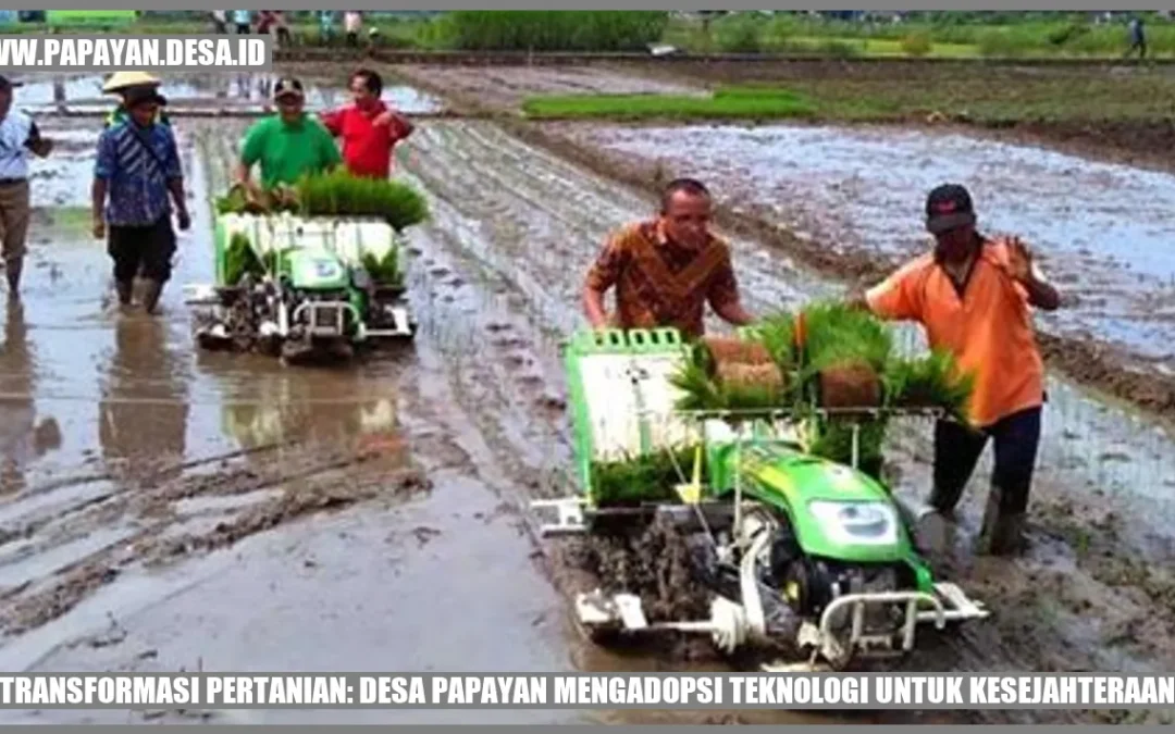 Transformasi Pertanian: Desa Papayan Mengadopsi Teknologi untuk Kesejahteraan