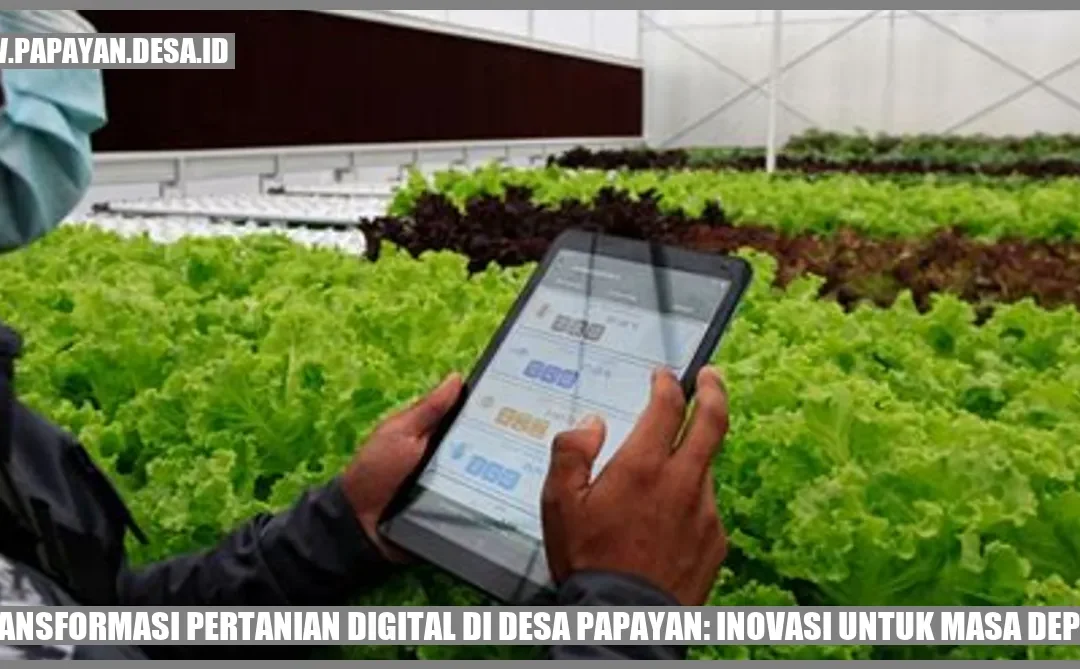 Transformasi Pertanian Digital di Desa Papayan: Inovasi untuk Masa Depan
