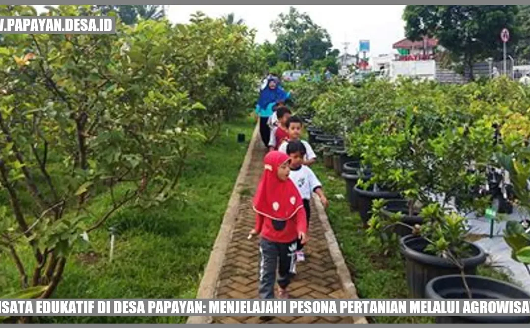 Wisata Edukatif di Desa Papayan: Menjelajahi Pesona Pertanian Melalui Agrowisata